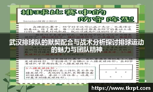优游国际