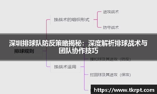 优游国际