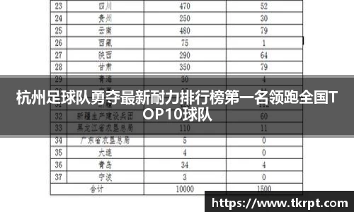 优游国际