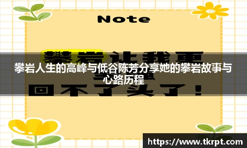 优游国际