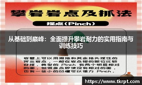 优游国际